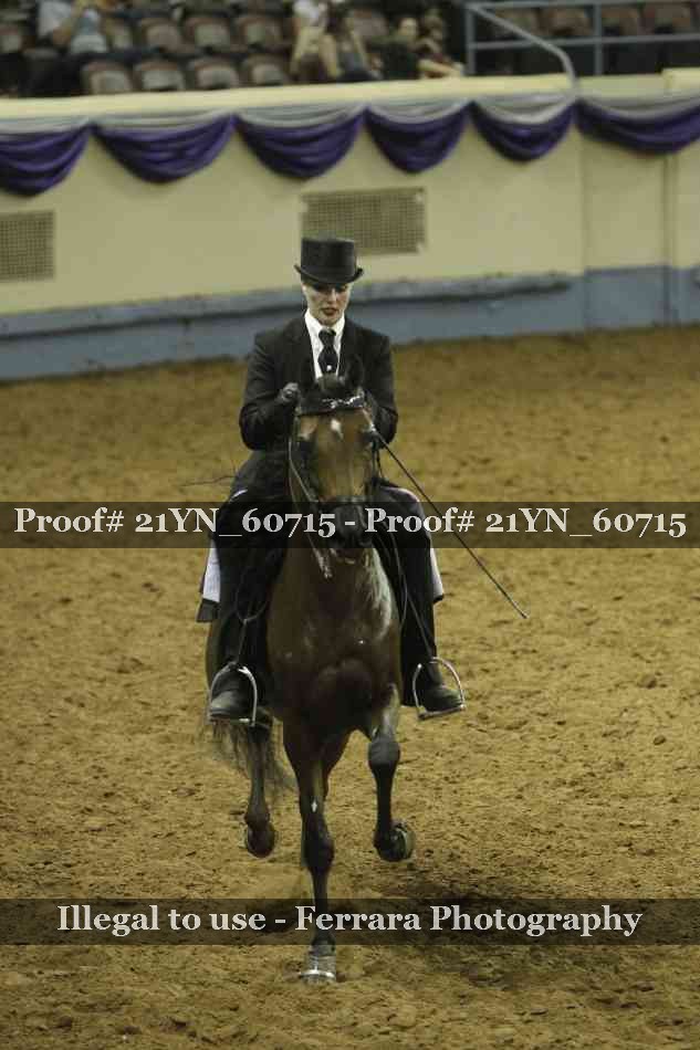 Proof Number 21YN_60715