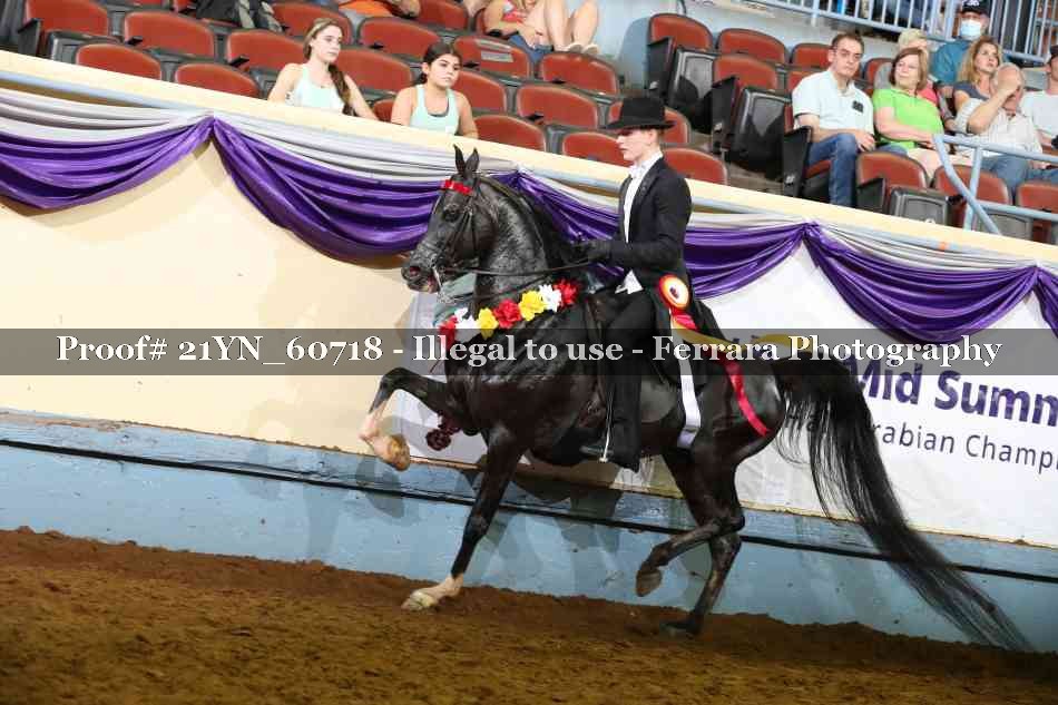Proof Number 21YN_60718