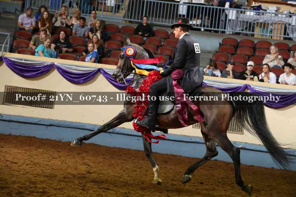 Proof Number 21YN_60743
