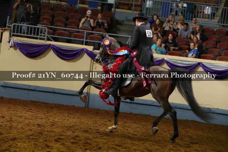 Proof Number 21YN_60744
