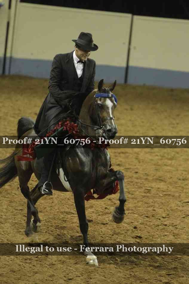 Proof Number 21YN_60756