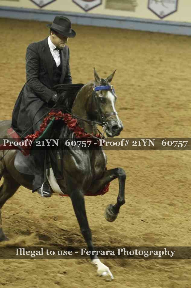 Proof Number 21YN_60757