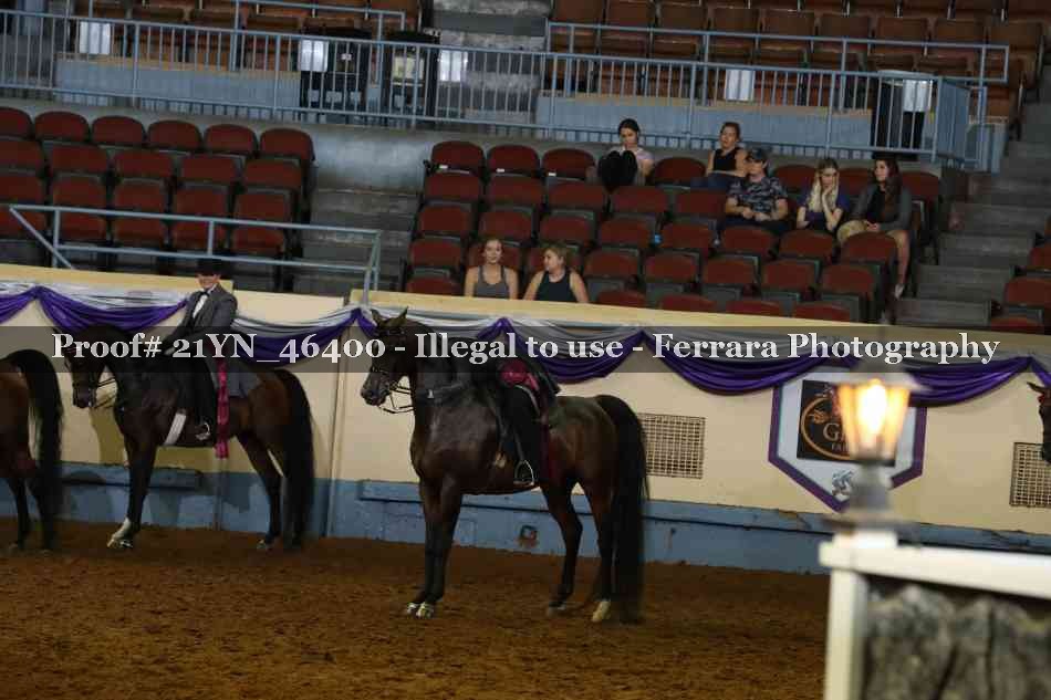 Proof Number 21YN_46400