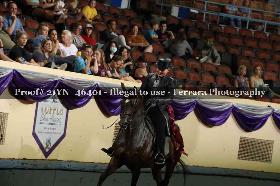 Proof Number 21YN_46401