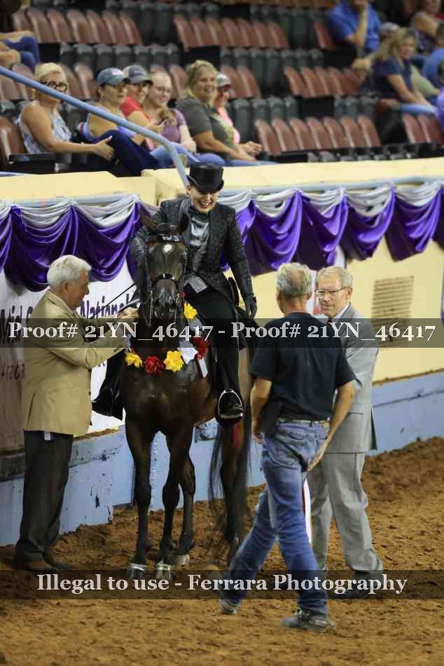 Proof Number 21YN_46417