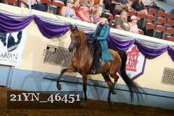 21YN_46451 thumbnail