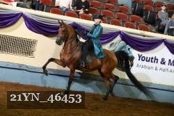 21YN_46453 thumbnail
