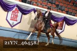 21YN_46458 thumbnail