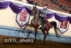21YN_46465 thumbnail