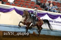 21YN_46469 thumbnail
