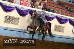 21YN_46475 thumbnail