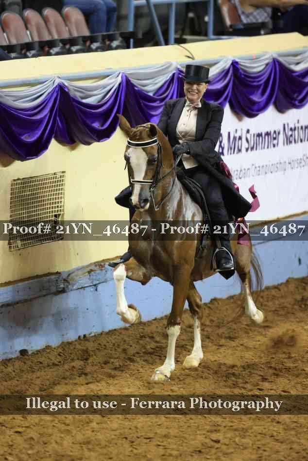Proof Number 21YN_46487