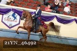 21YN_46492 thumbnail