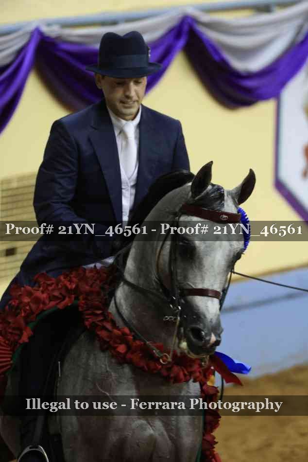 Proof Number 21YN_46561
