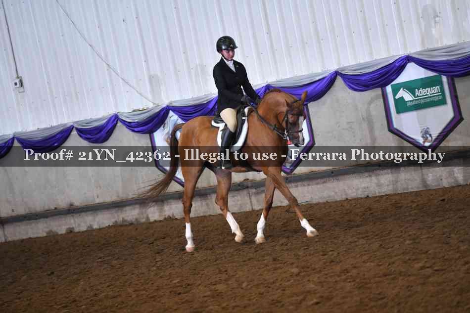Proof Number 21YN_42362