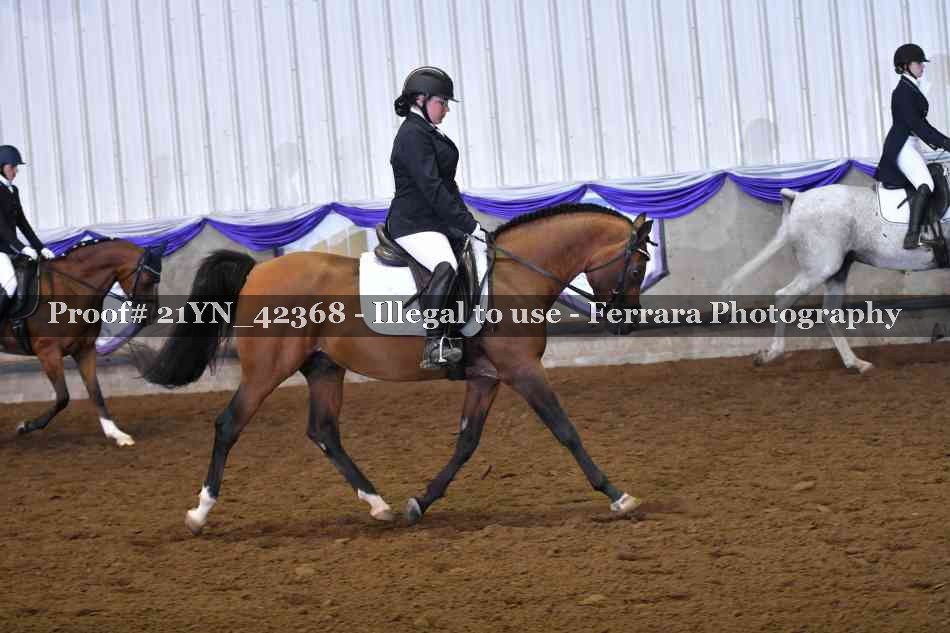 Proof Number 21YN_42368