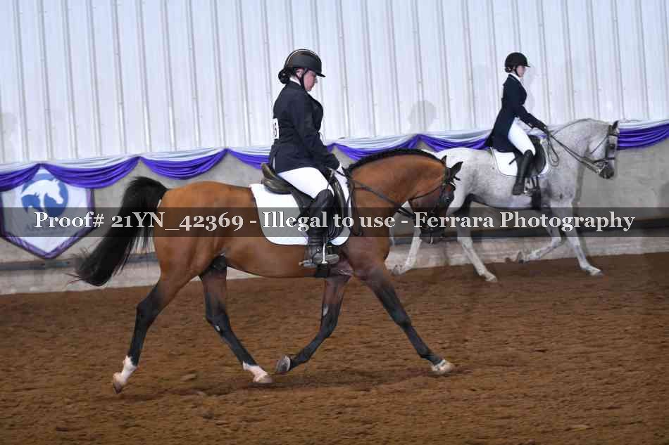 Proof Number 21YN_42369
