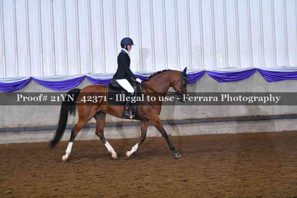 Proof Number 21YN_42371