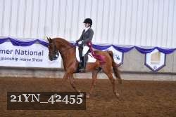 21YN_42455 thumbnail