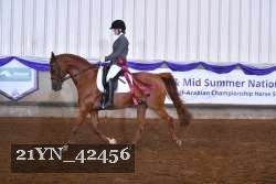 21YN_42456 thumbnail