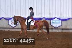 21YN_42457 thumbnail