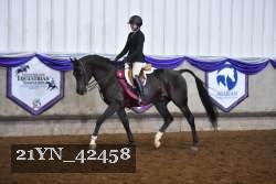 21YN_42458 thumbnail