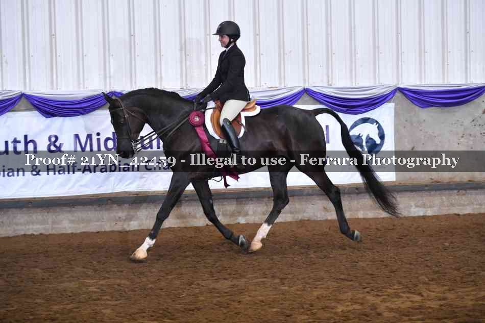 Proof Number 21YN_42459
