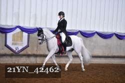 21YN_42462 thumbnail