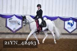 21YN_42463 thumbnail