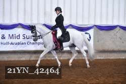 21YN_42464 thumbnail