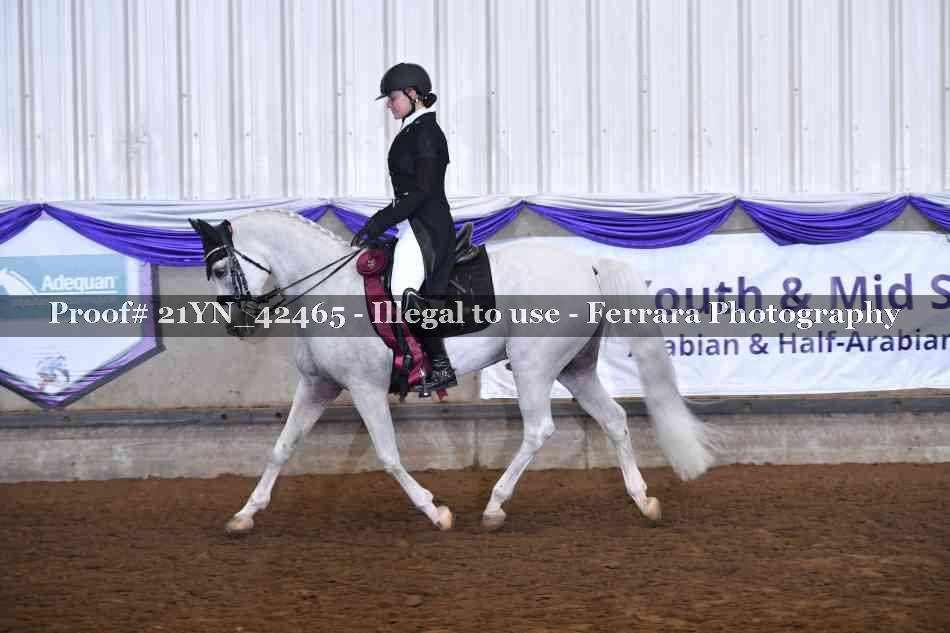 Proof Number 21YN_42465