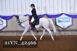 21YN_42466 thumbnail
