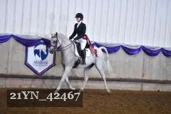 21YN_42467 thumbnail