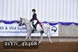 21YN_42468 thumbnail