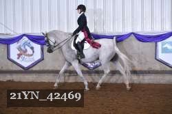 21YN_42469 thumbnail