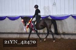 21YN_42470 thumbnail