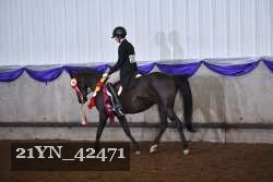 21YN_42471 thumbnail