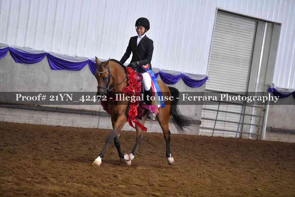 Proof Number 21YN_42472