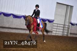 21YN_42472 thumbnail