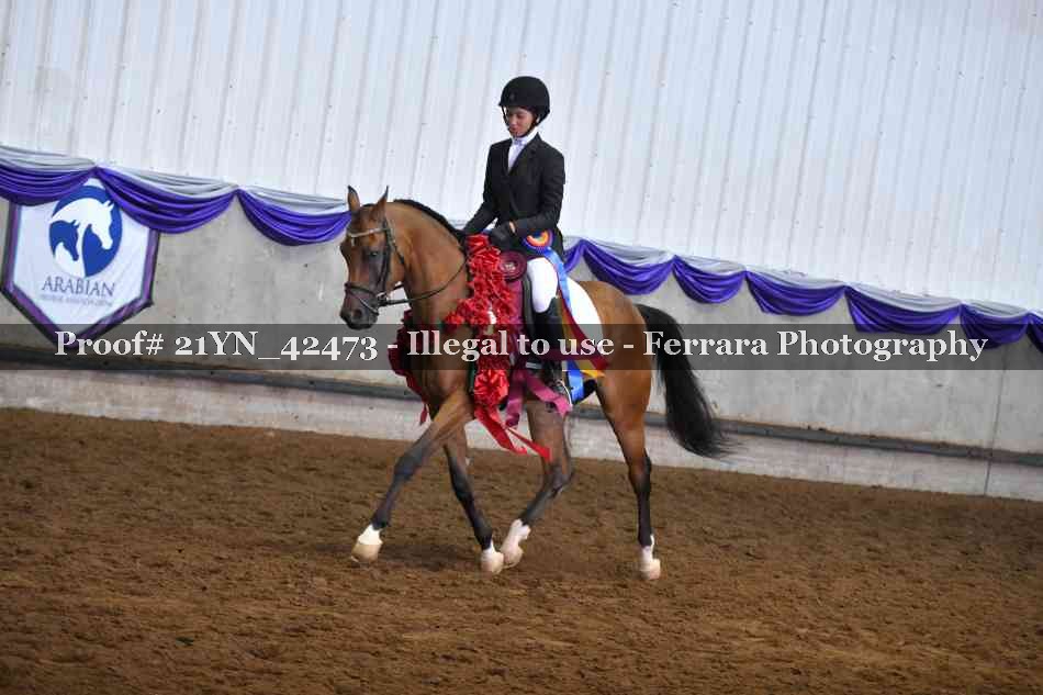 Proof Number 21YN_42473