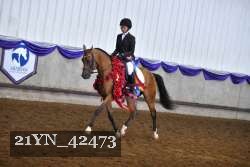 21YN_42473 thumbnail