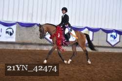 21YN_42474 thumbnail