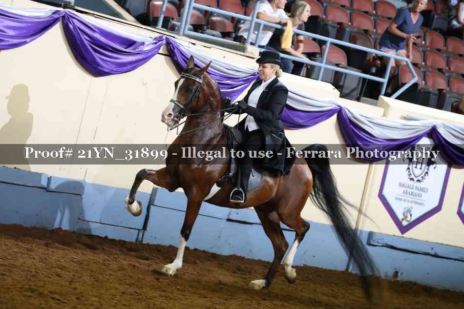 Proof Number 21YN_31899