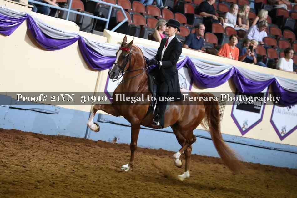 Proof Number 21YN_31910