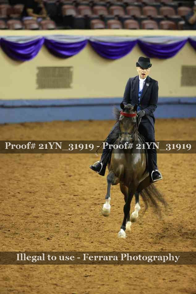 Proof Number 21YN_31919