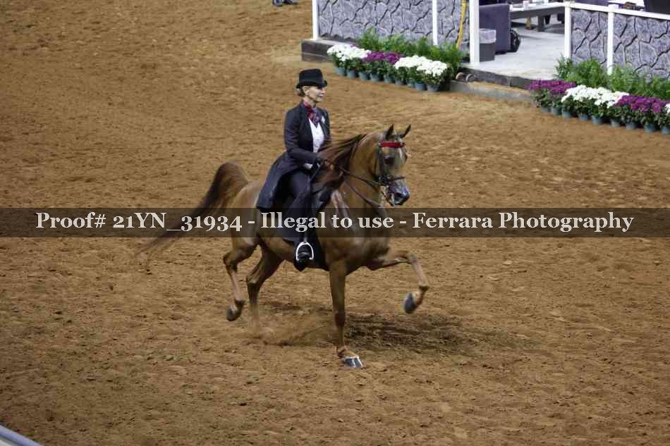 Proof Number 21YN_31934