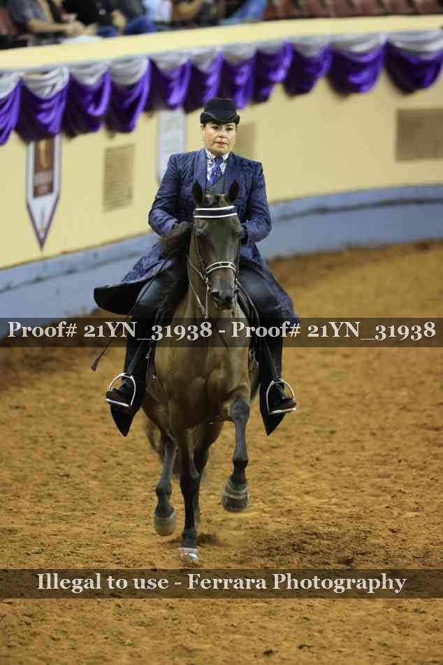 Proof Number 21YN_31938