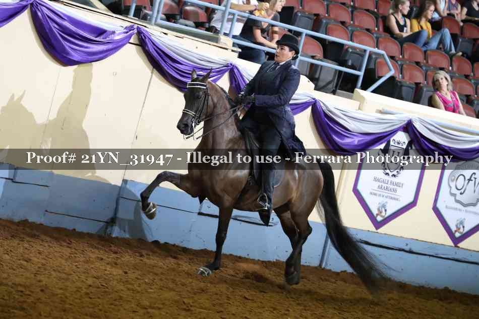 Proof Number 21YN_31947