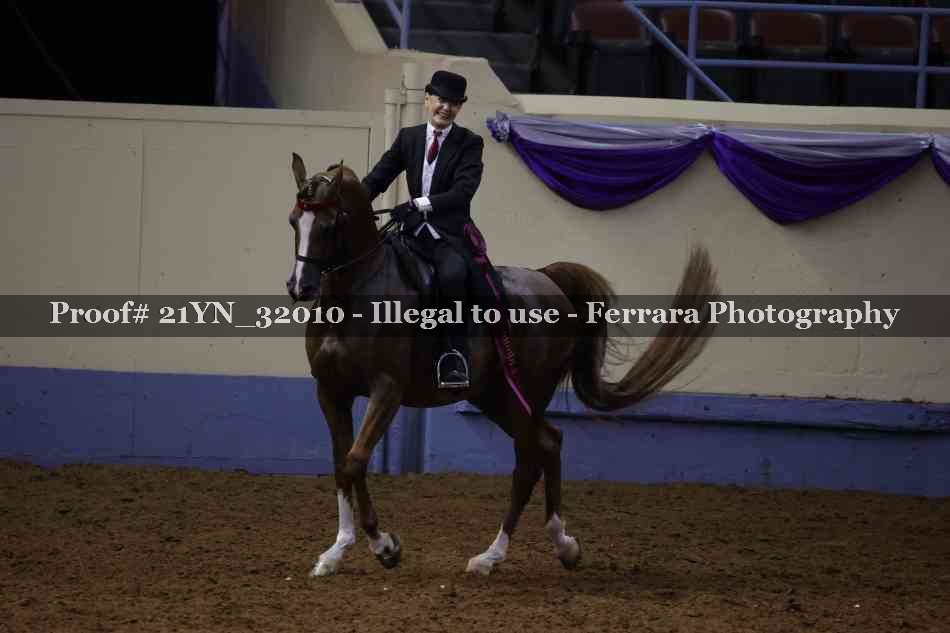 Proof Number 21YN_32010