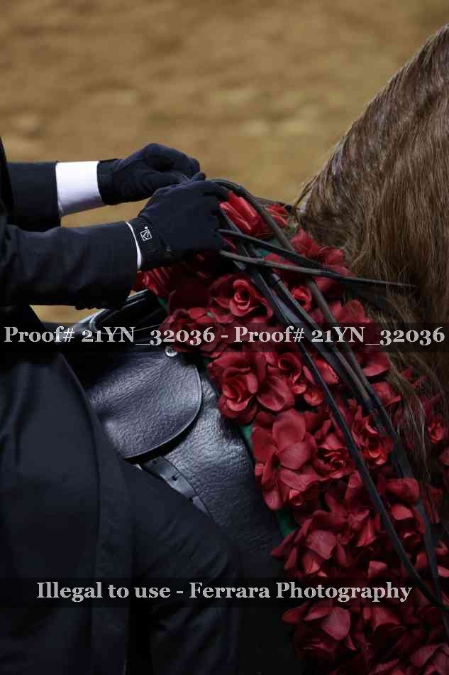 Proof Number 21YN_32036